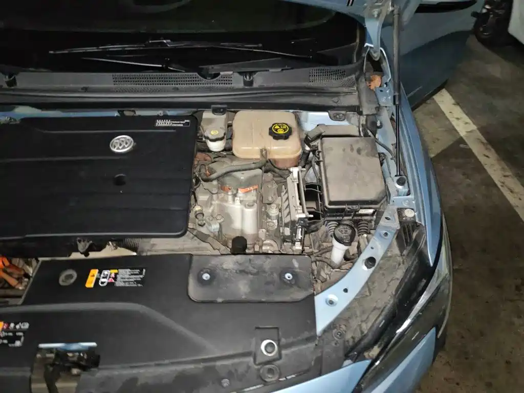 Photo 21 - Buick Velite 6