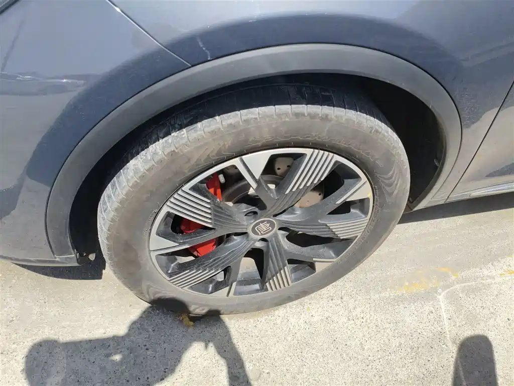 BYD Tang New Energy 2024 EV Champion Edition 730KM Premium фото 24
