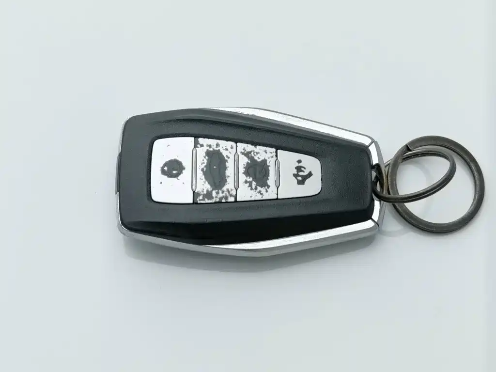 Photo 19 - Geely Binrui