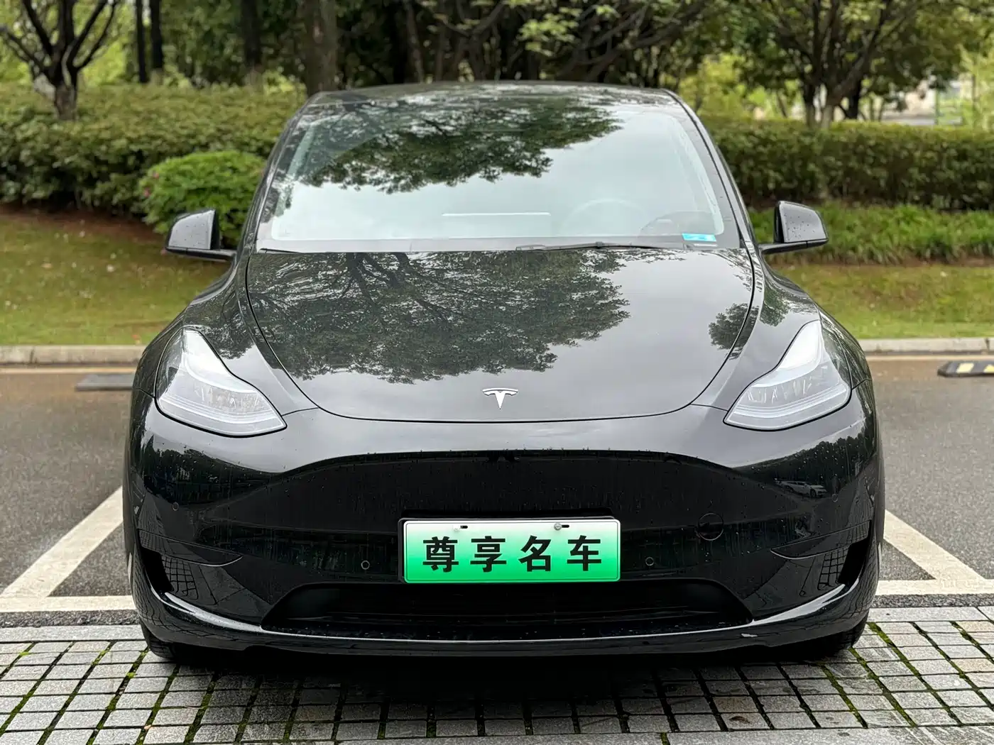 TESLA MODEL Y