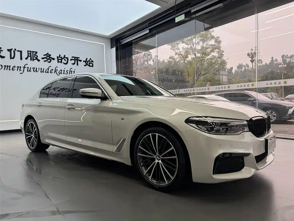 BMW 5 Series 2020 530Li Leading M Sport Package фото 3