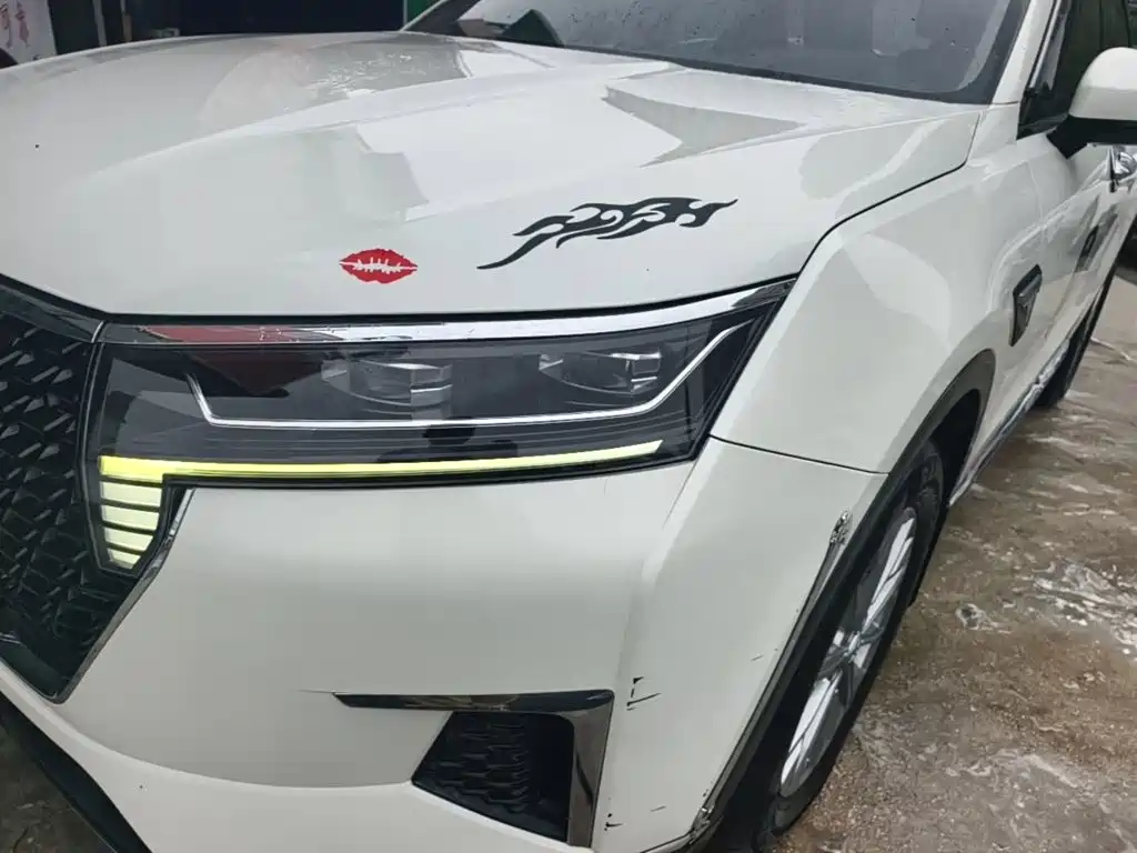 Venucia Star 2020 2020 260T Automatic 48V Mild Hybrid Turbo Star Enjoy Edition