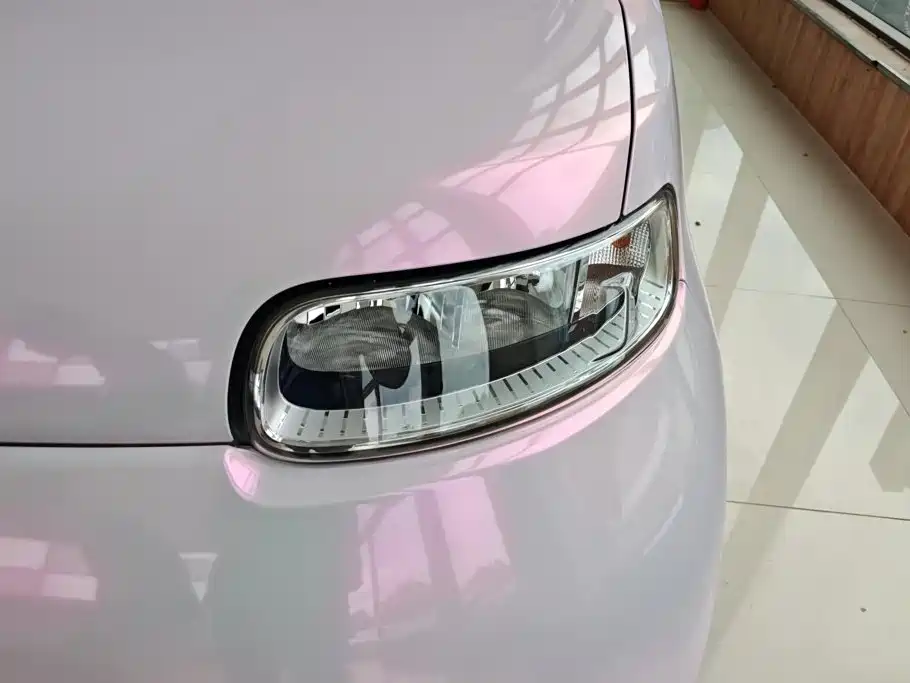 Ora White Cat 2022 2020 305km Luxury