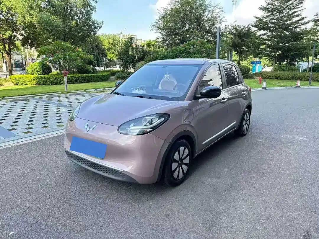  Wuling Motors Wuling Bingo 2023 333km Quick Enjoy Version