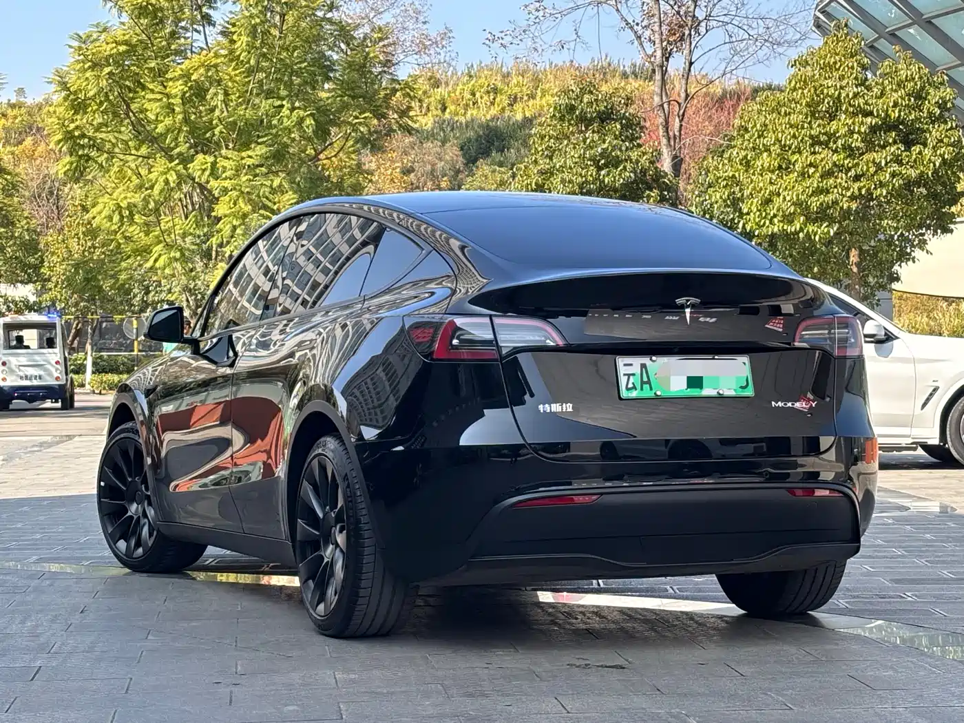 TESLA MODEL Y