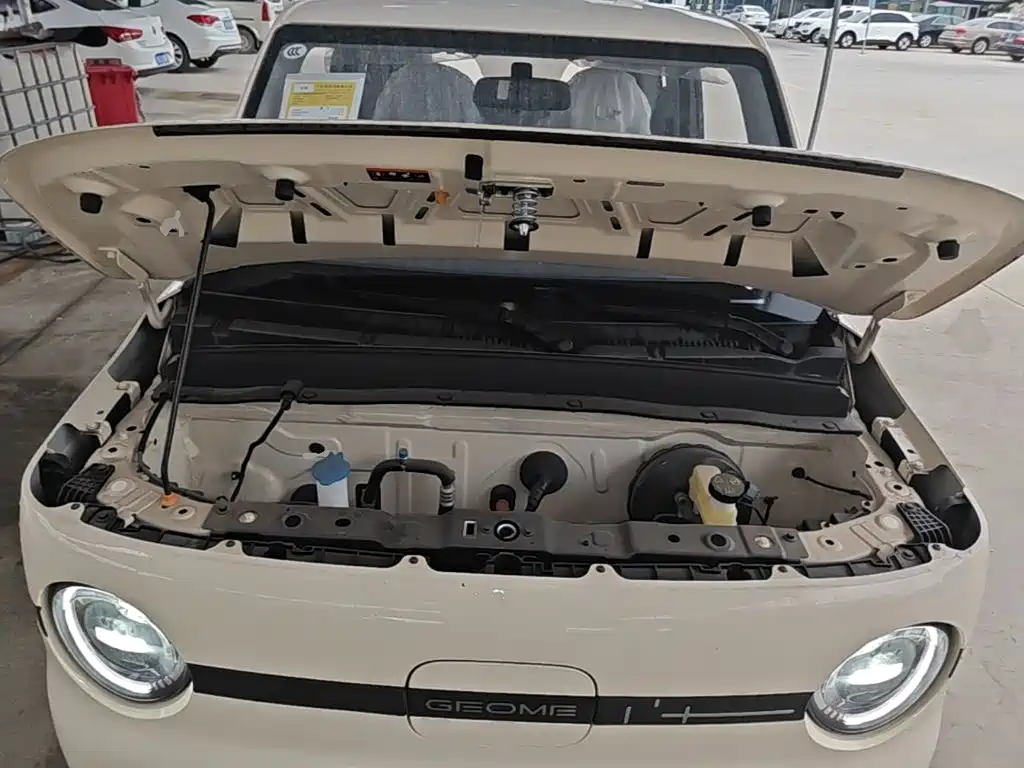 Geely Galaxy Panda 2026 2025 Panda mini 210km Vitality Bear