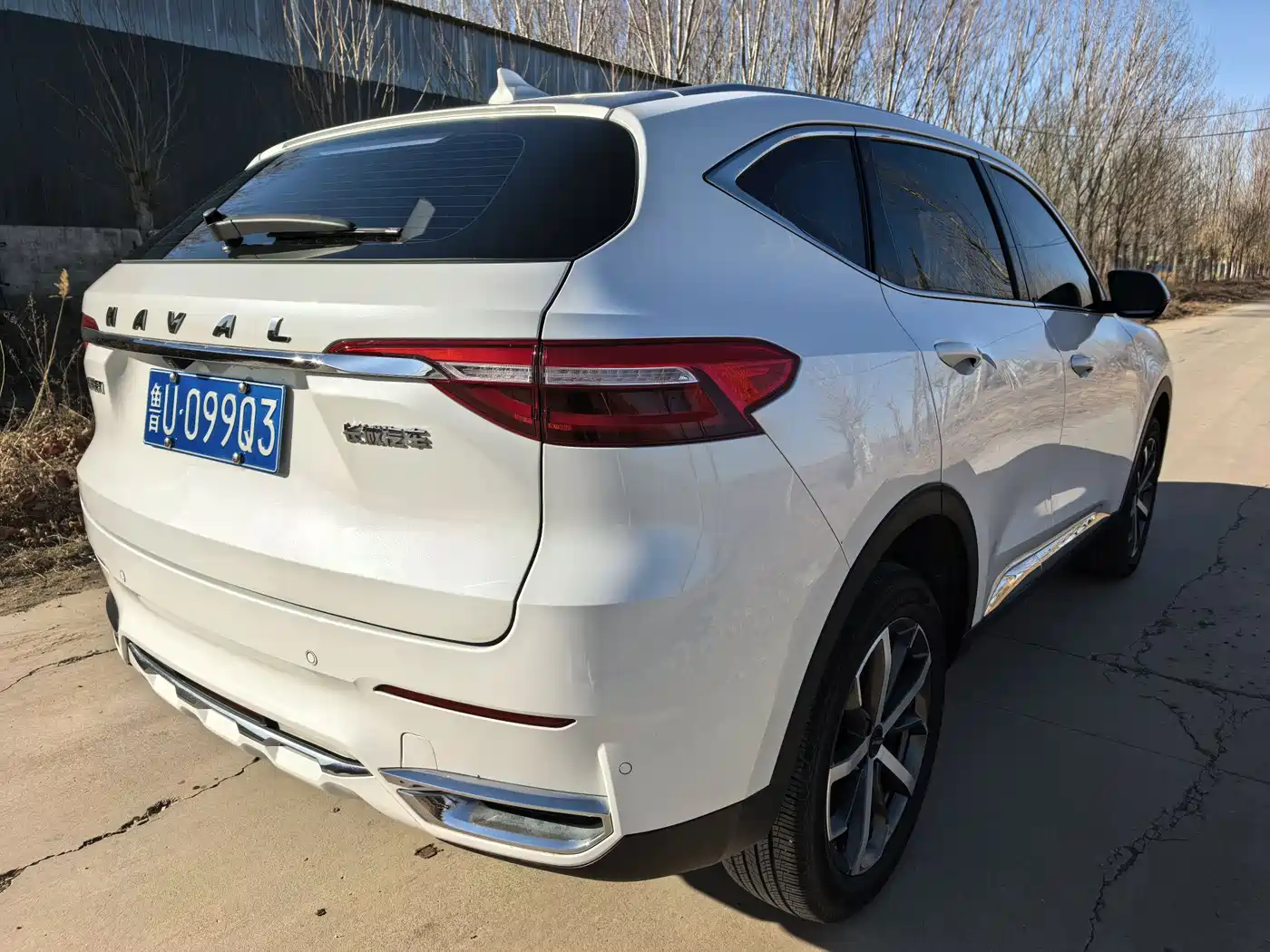 HAVAL F7