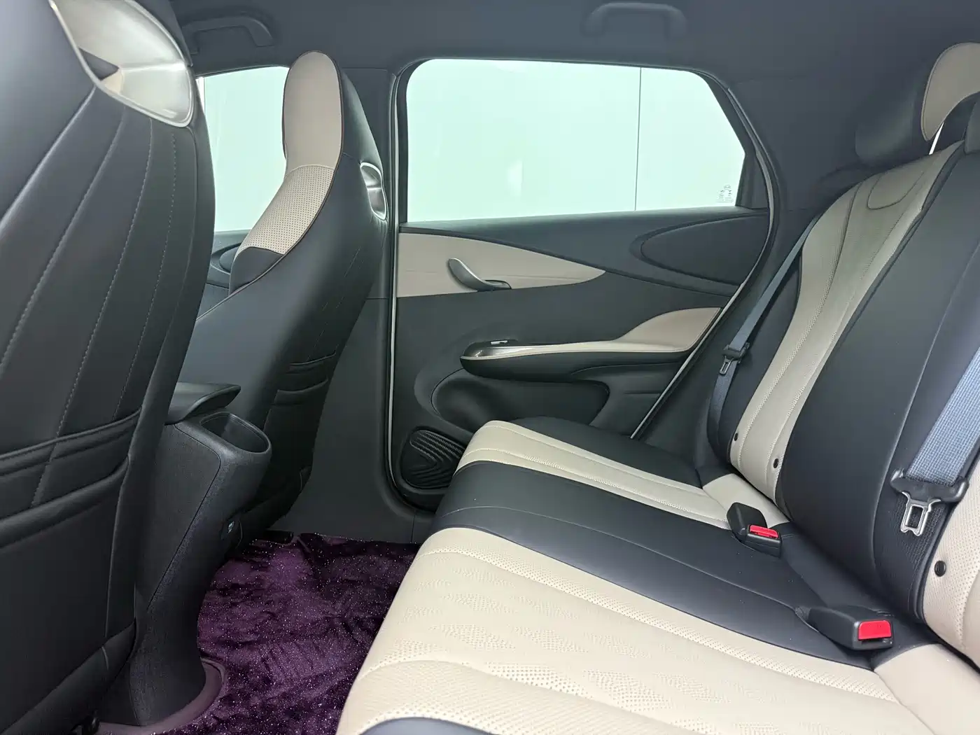 BYD Dolphin 2026 2025 420km Vitality Edition