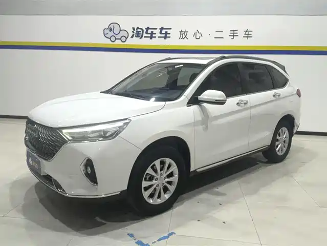 HAVAL M6