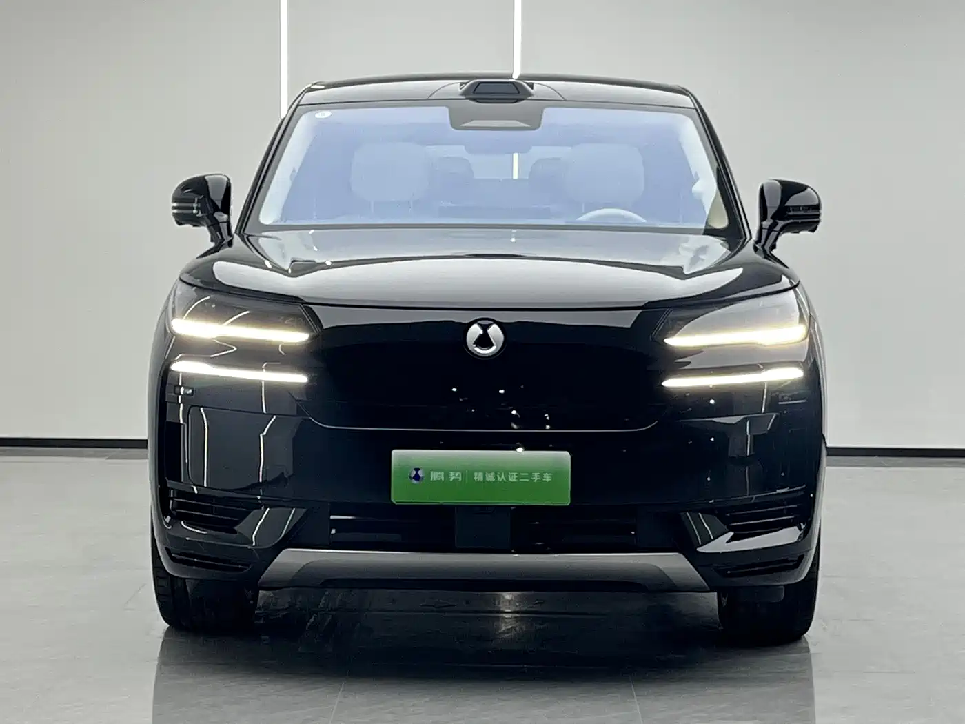 Denza N9 2025 2025 Model Prestige Edition