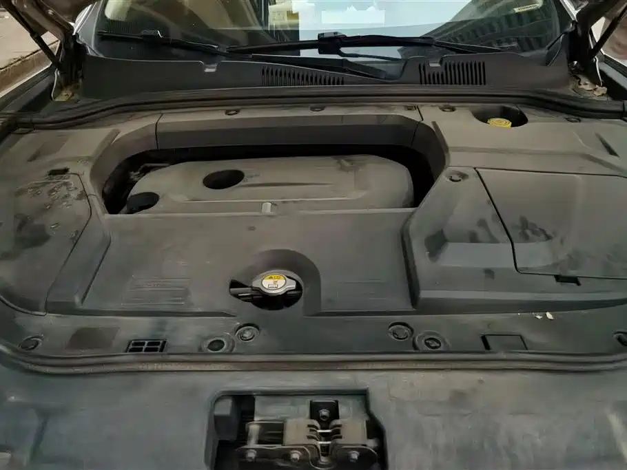 WEI PAI WEI BRAND VV5