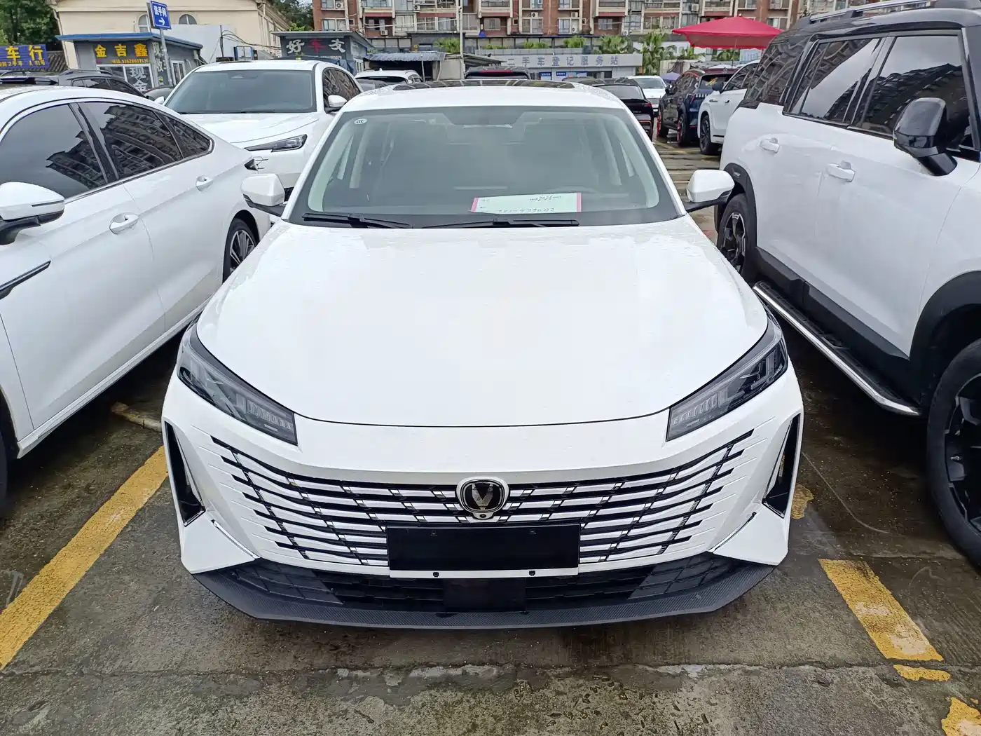 Фото 2 - Changan Eado