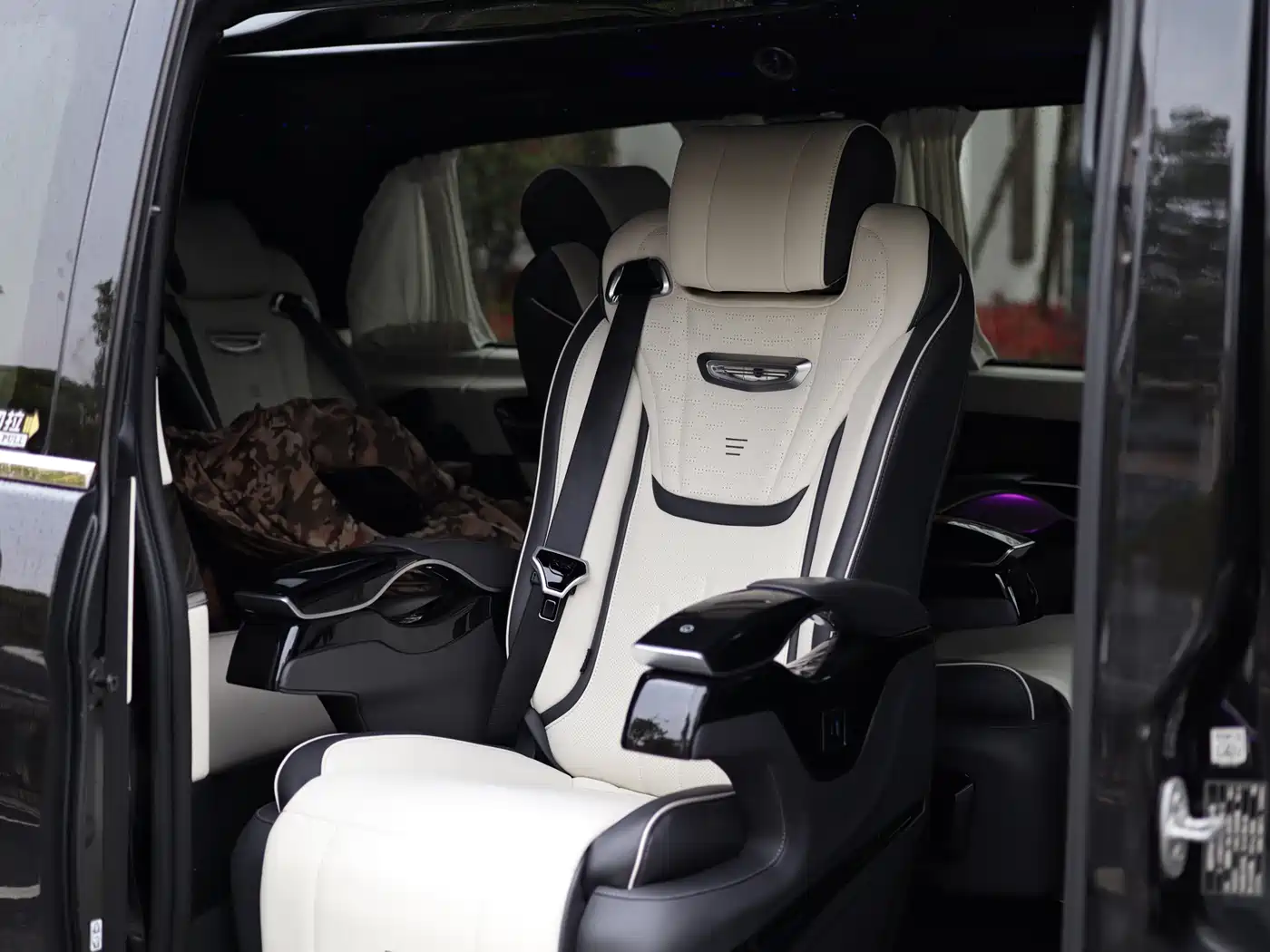 Mercedes-Benz V-Class 2018 V 260 Premium Edition China V фото 39