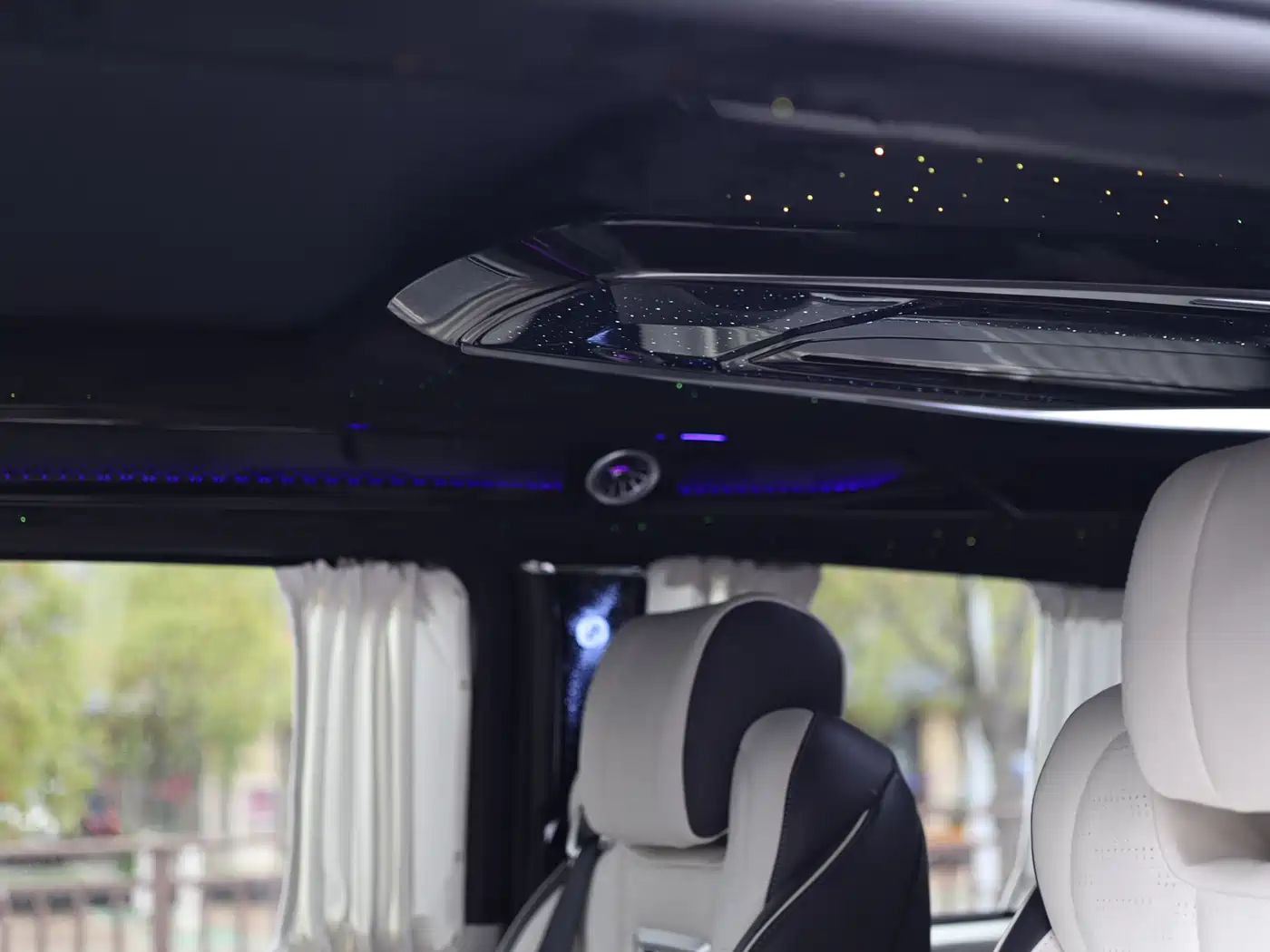 Mercedes-Benz V-Class 2018 V 260 Premium Edition China V фото 54