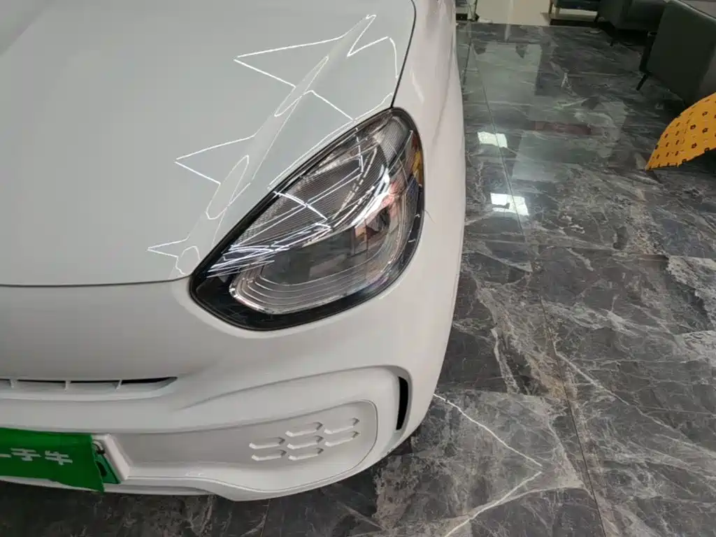Roewe Clever 2023 2022 311km Vitality Bobo Edition