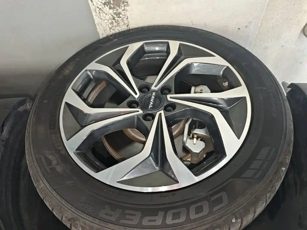 Photo 23 - Haval Xiaolong MAX