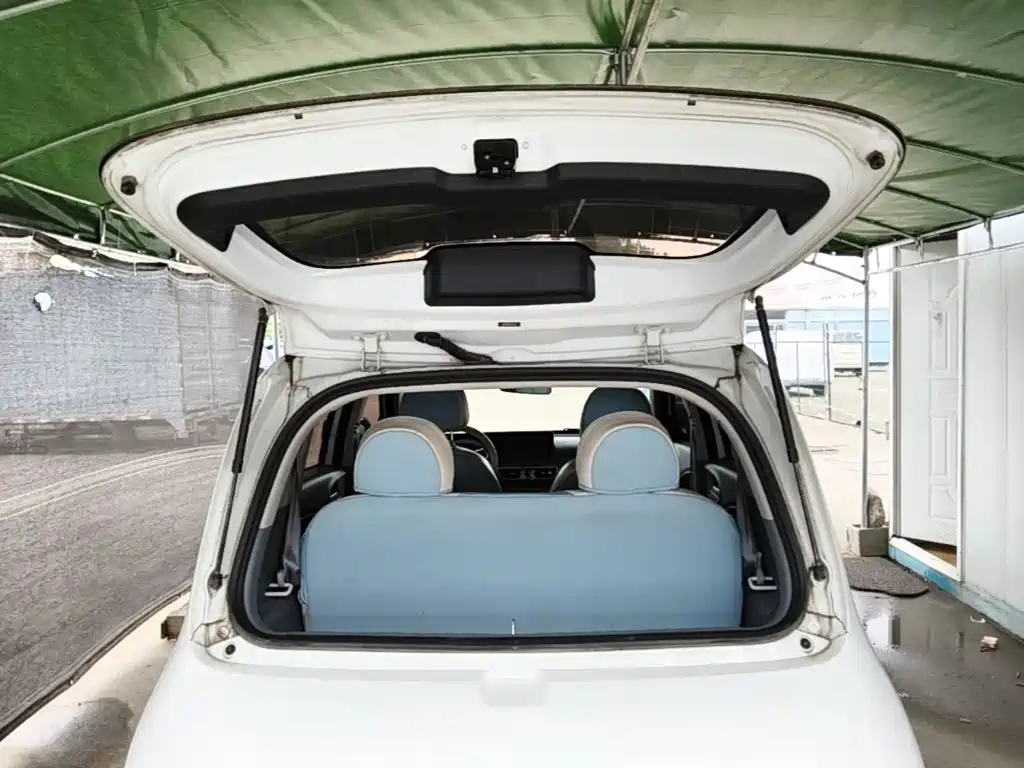 Ora White Cat 2021 2020 305km Luxury