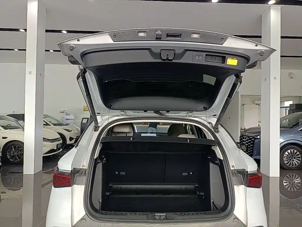 BYD Yuan PLUS 2025 2025 Smart Drive 510KM Surpass Edition
