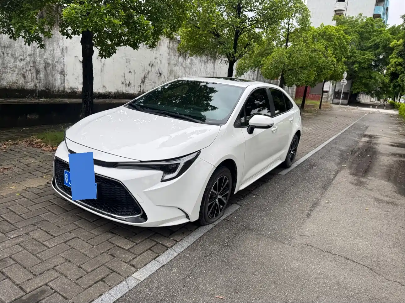 2025 Toyota Levin