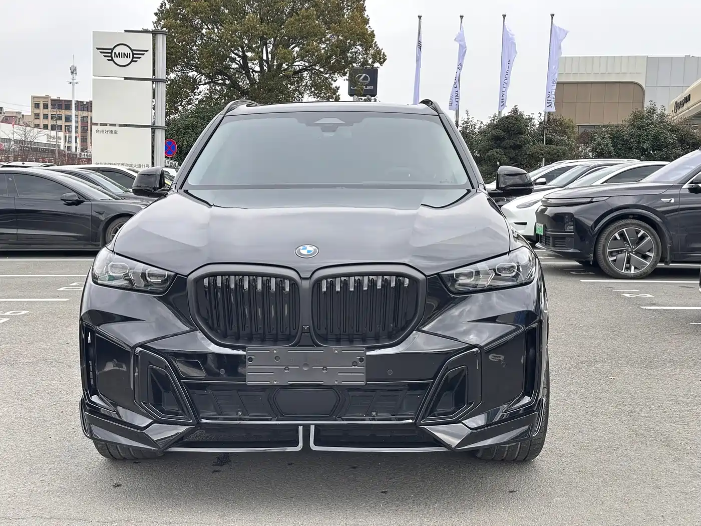 BMW X5 2025 Model xDrive 30Li Exclusive M Sport Blackout Package фото 4