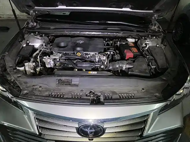 Toyota Avalon 2019 2.0L XLE Premium Edition (China VI) — фото 3