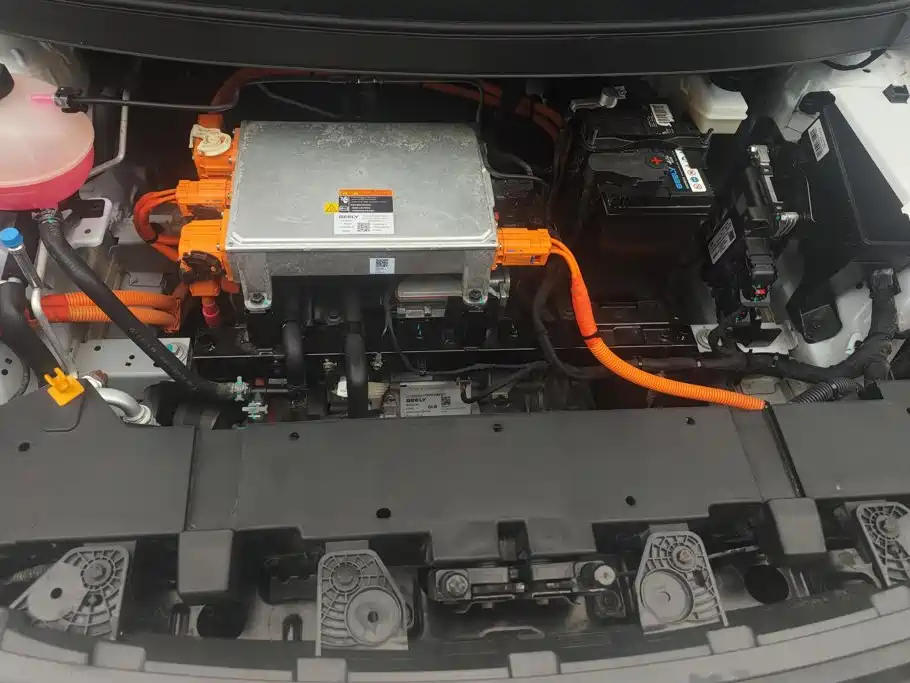 Geely Geometry E Firefly 2023 2024 Model 301km Starlight