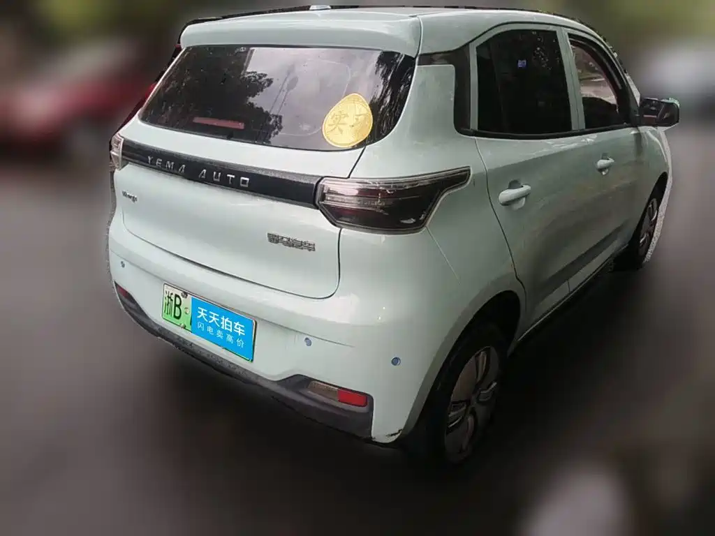 LeiDing Mango 2022 2021 Funjoy Edition 200km