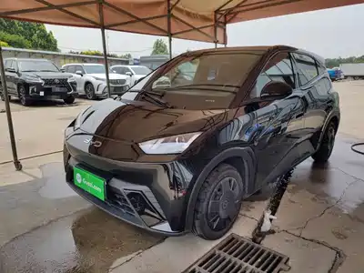 BYD Seagull