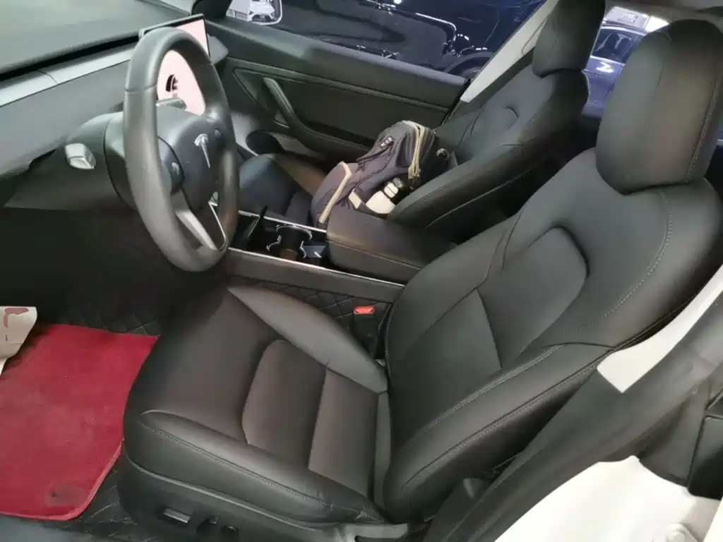 Tesla Model 3 2020 2020 Standard Range Rear-Wheel Drive Upgrade