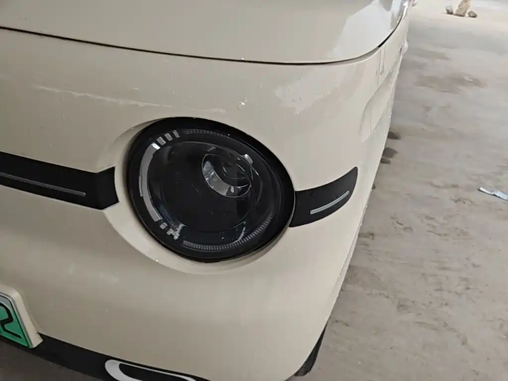 Geely Galaxy Panda 2026 2025 Panda mini 210km Vitality Bear
