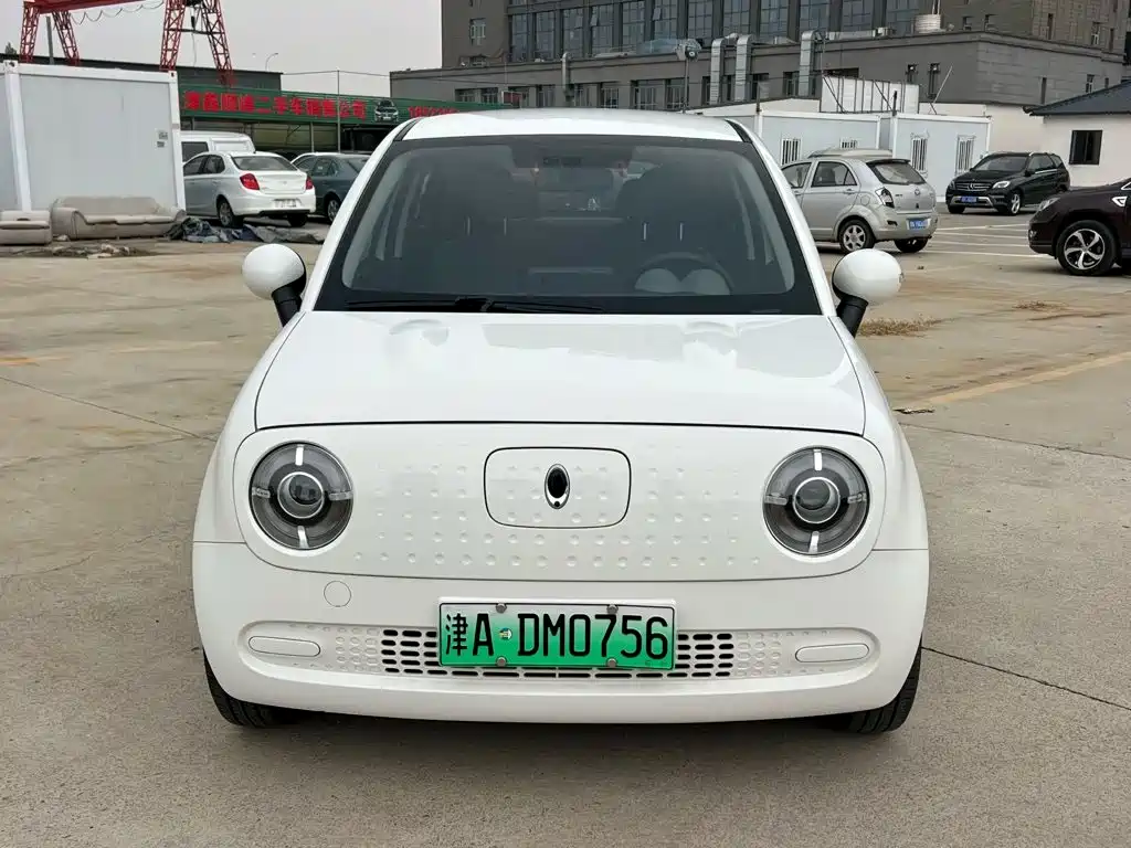 Ora Black Cat 2019 2019 310km Fun Edition