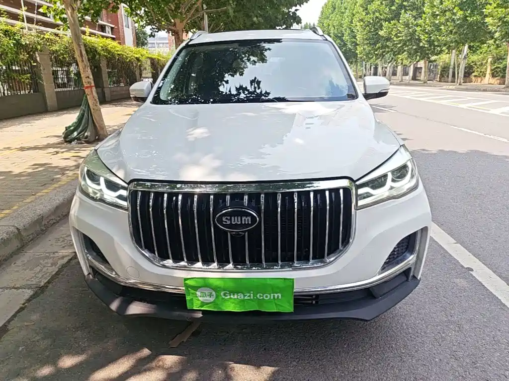 SWM Motor SWM G05 2019 2019 1.5T Automatic Luxury Model