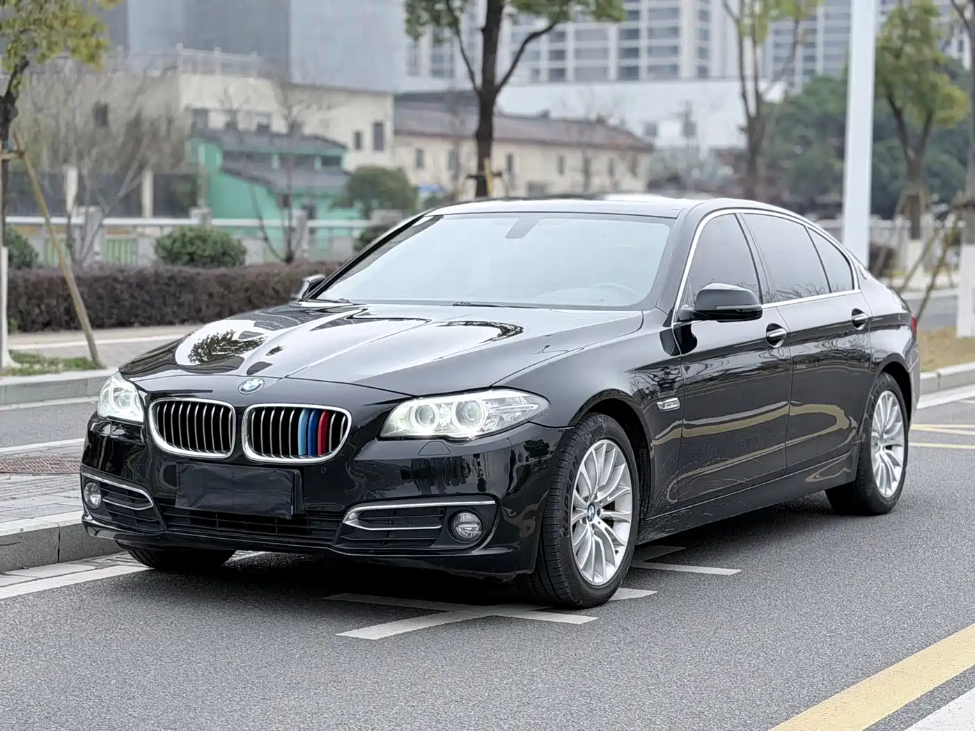 BMW 5 Series 2017 525Li Luxury Design Package