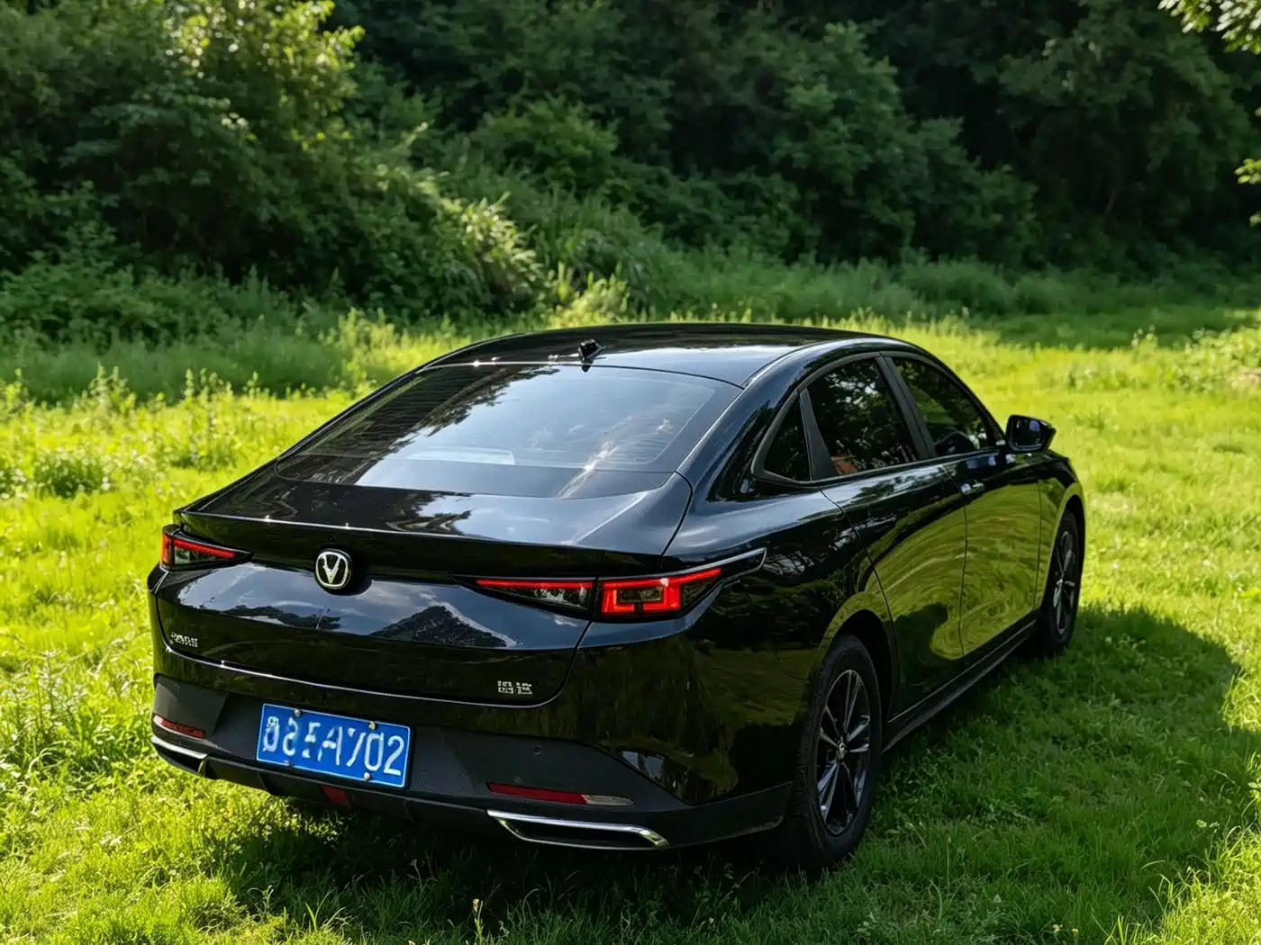Changan Yida 2024 2023 Blue Whale NE 1.5T GDI DCT Exclusive