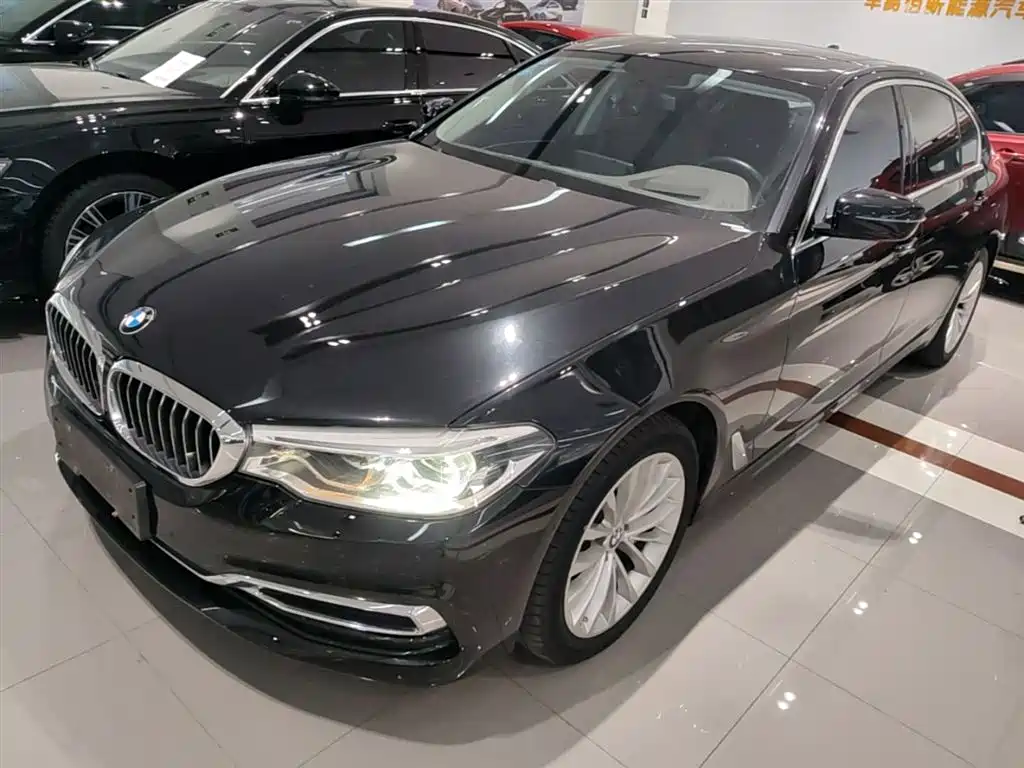 BMW 5 Series 2020 530Li Premium Luxury Package