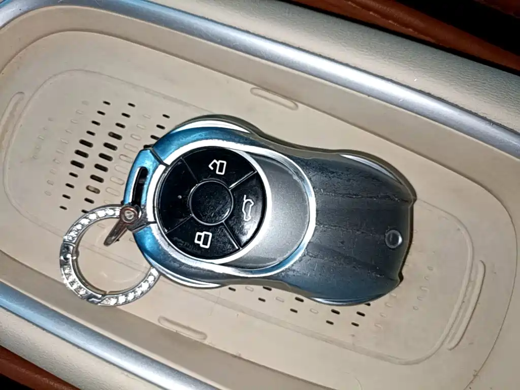 Ora Good Cat 2025 2024 401km Luxury