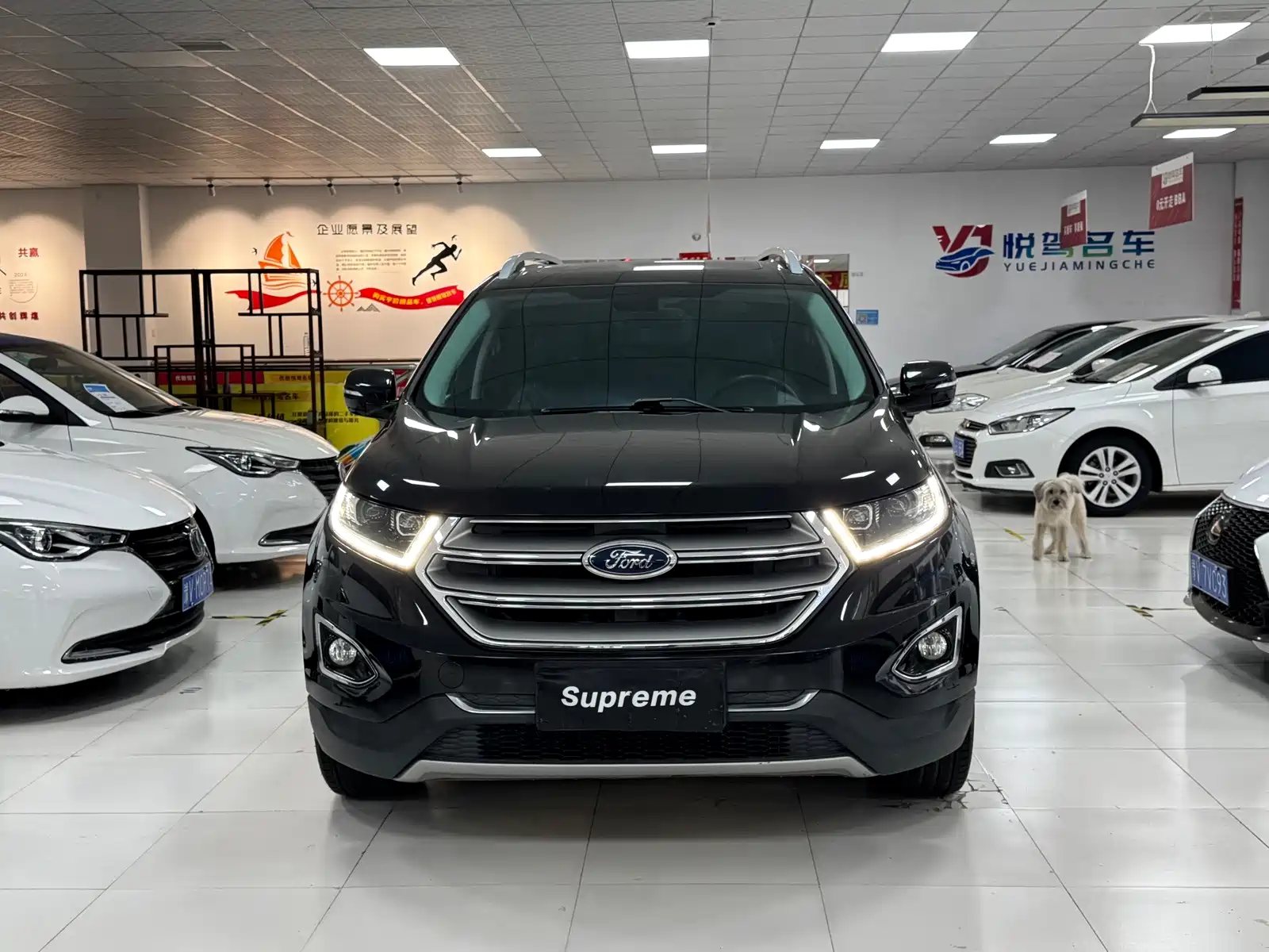 Photo 2 - Ford Edge