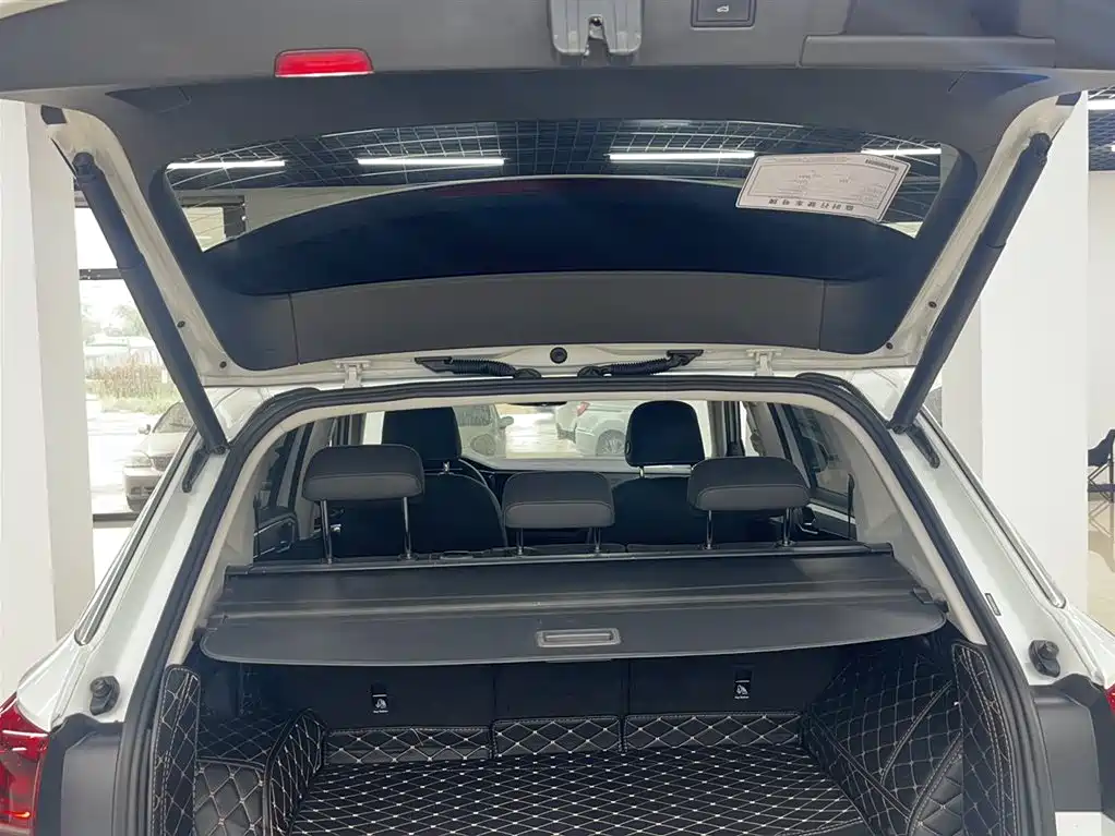 VOLKSWAGEN TANYUE