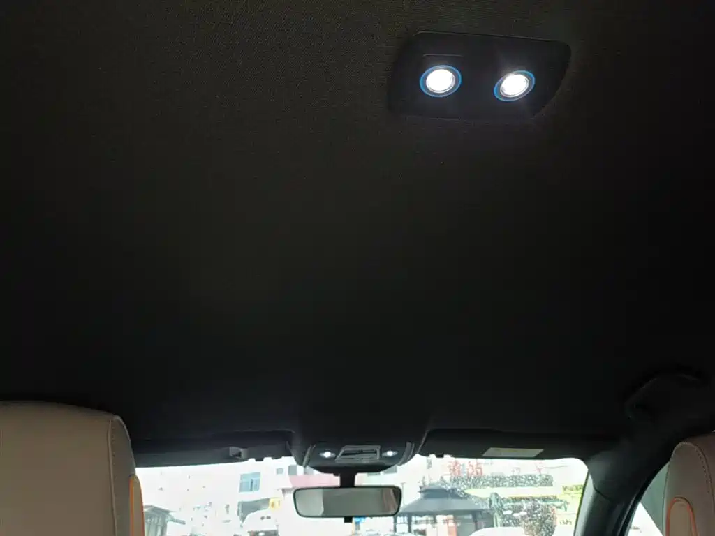 BYD Song Pro New Energy 2024 Glory Edition DM-i 71KM Pilot фото 18