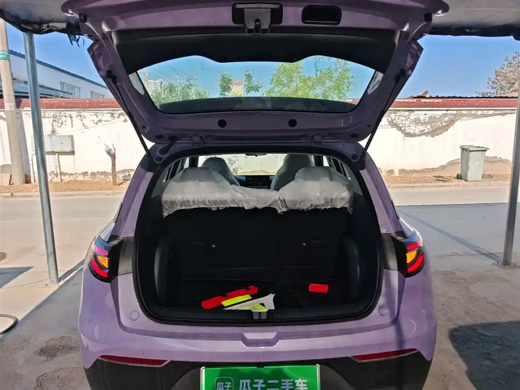Geely Galaxy Starry Wish 2026 Edition 310km Youth Version фото 19