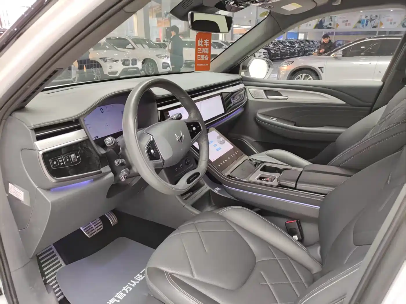 ARCFOX EXTREME FOX POLAR FOX ALPHA T