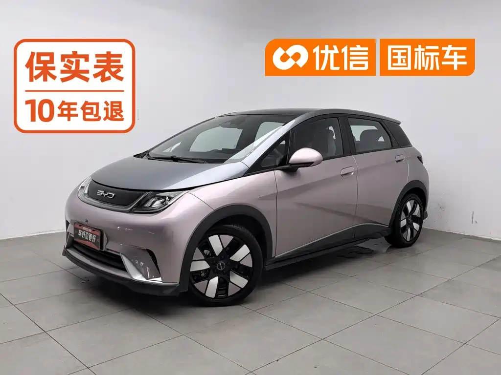 BYD Dolphin 2021