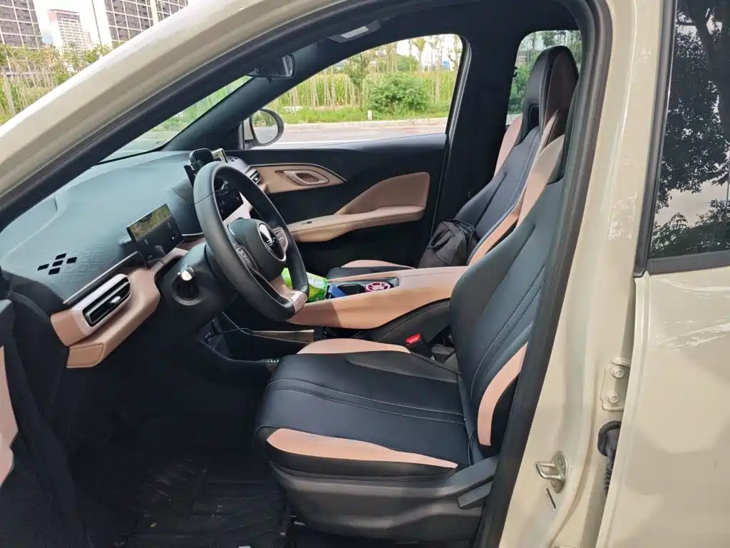BYD Seagull 2026 2025 Smart Drive Edition 305km Vitality Version