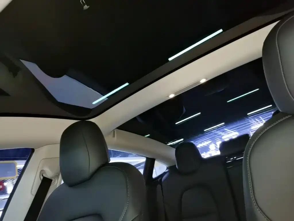 Tesla Model 3 2020 2020 Standard Range Rear-Wheel Drive Upgrade