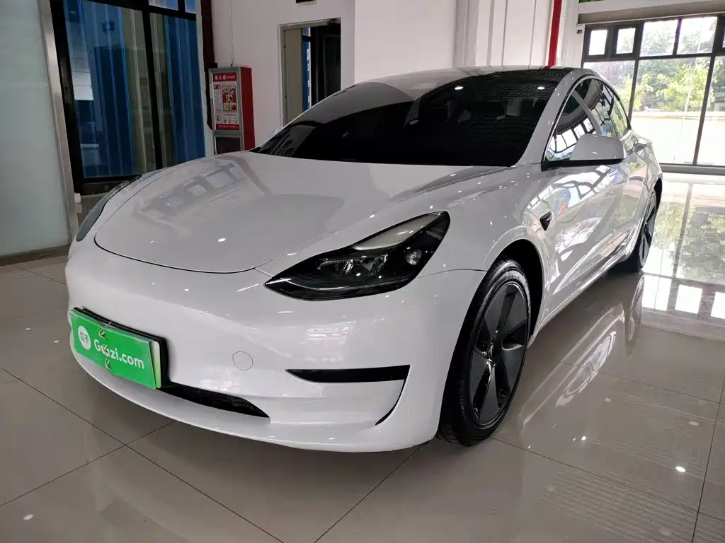 Tesla Model 3 2021