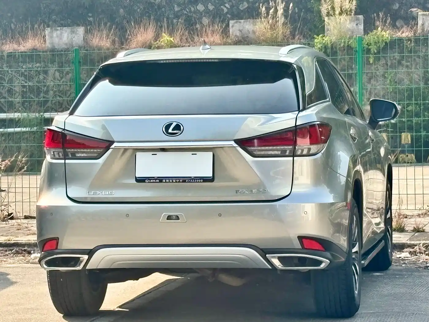 Lexus RX 2020 Facelift 300 2WD Comfort Edition фото 15