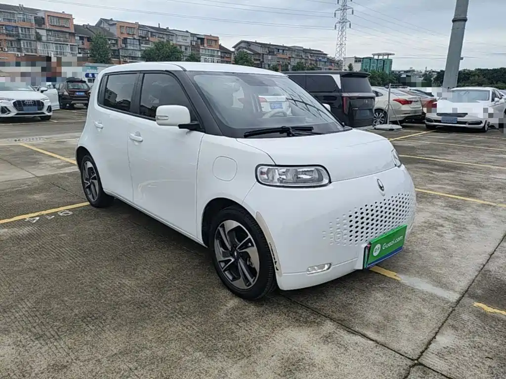 Ora White Cat 2021 2020 305km Luxury