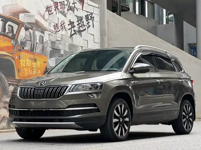  Škoda Karoq 2020 TSI280 Smart Luxury Edition China VI