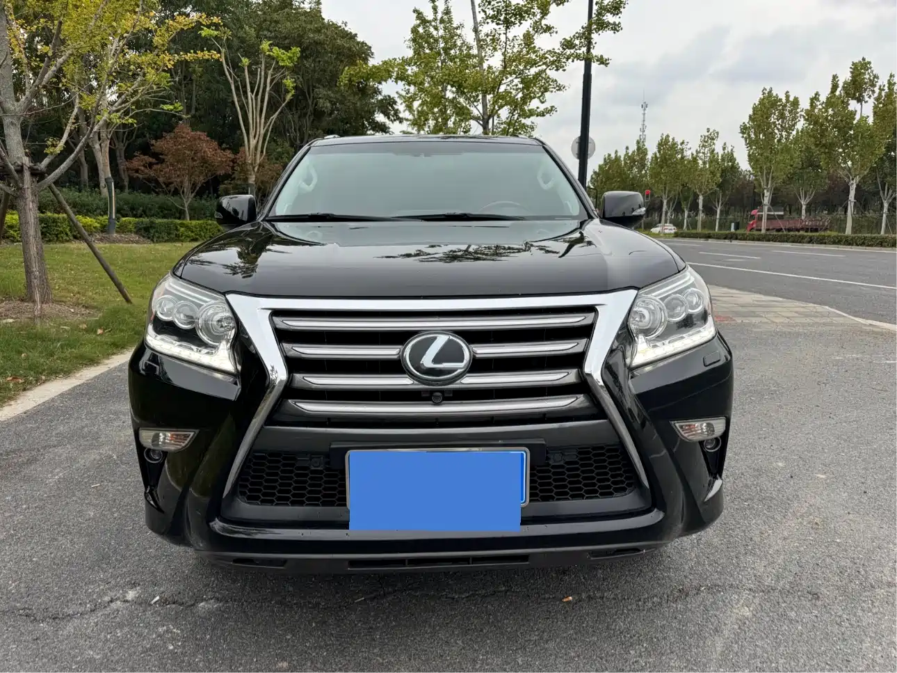 Lexus GX 2014 400 Premium фото 3