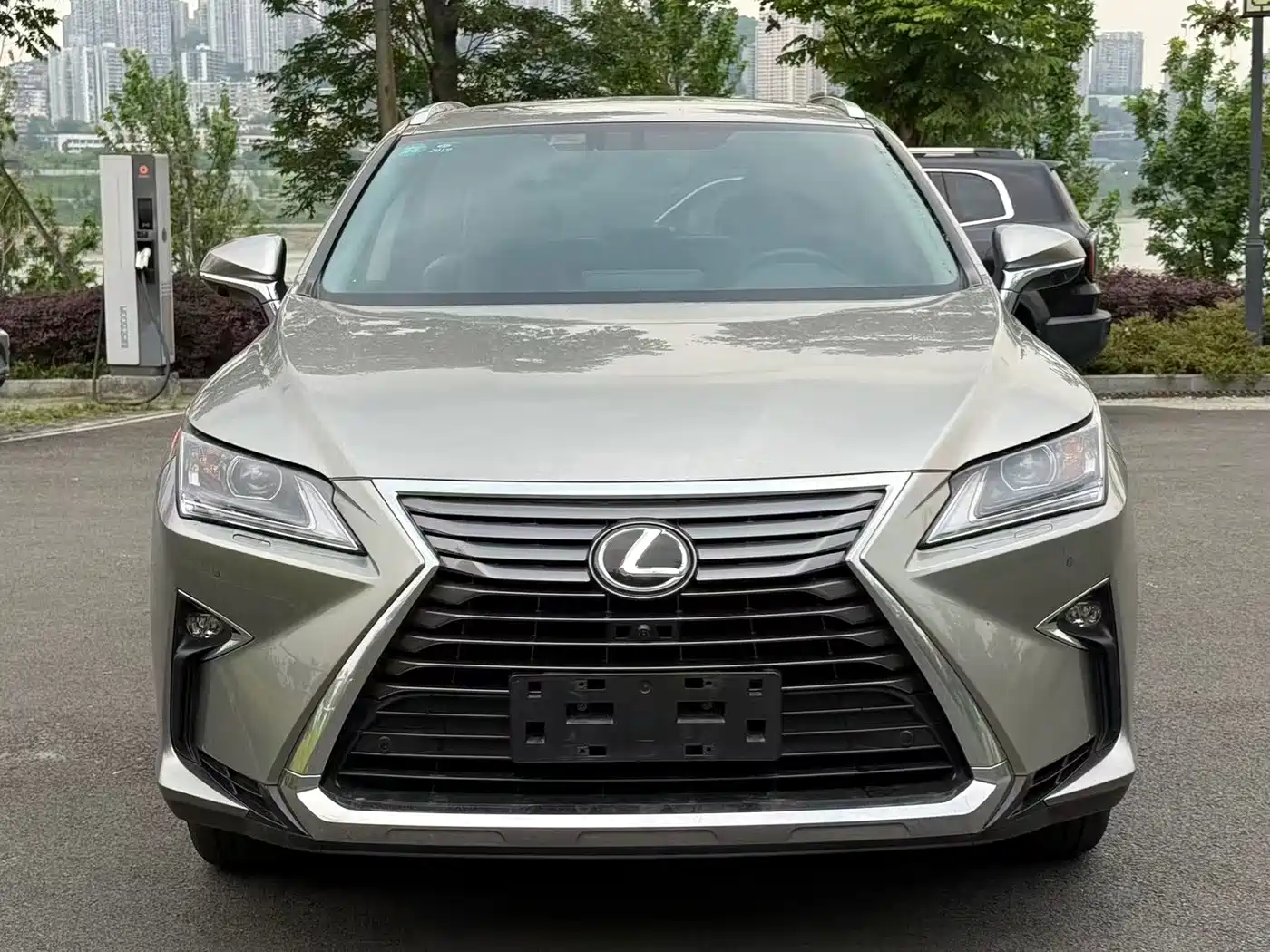 Lexus RX 2017 2016 300 2WD Elite Edition (China V)